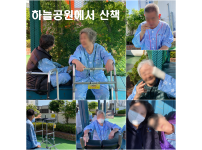 따뜻한 5월 산책