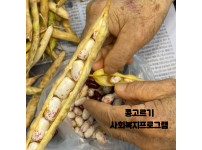 콩 고르기