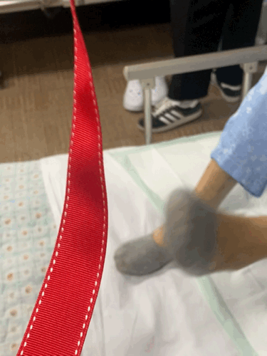 3b581a3441572ba81f2585af78f056a1_1755822328_8935.gif