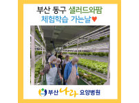 샐러드팜 야외 체험학습