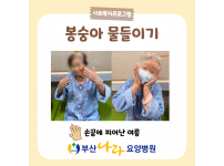 손끝에 피어난 여름, 봉숭아 물들이기! 요양병원 사회복지프로그램