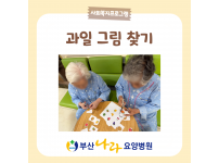 과일그림찾기 요양병원 사회복지프로그램