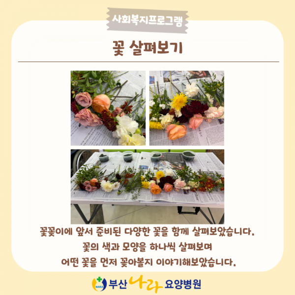 1bd1ff71e06a681c5605b97bea562714_1791434682_133.png