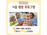 낙엽이 가득한 가을 풍경 가을 활동 프로그램 요양병원 사회복지프로그램